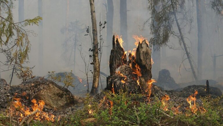 Cantabria registra 33 incendios forestales provocados con riesgo de emergencia