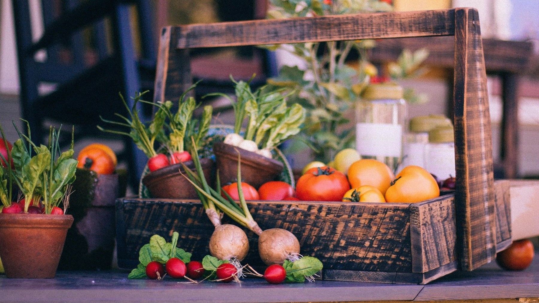 Productores locales vendiendo frutas y verduras ecológicas en un mercado de proximidad dentro de las Redes Alimentarias Sostenibles en Castilla y León