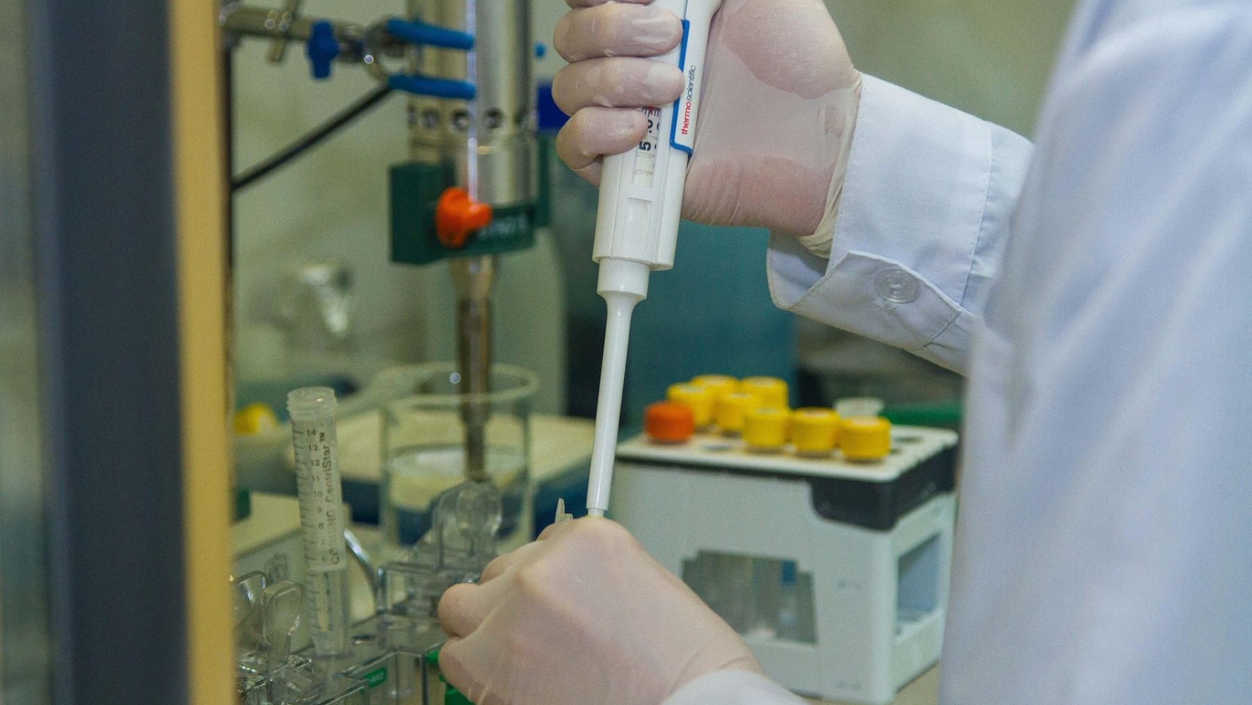 Microplásticos liberan bisfenol A en el organismo