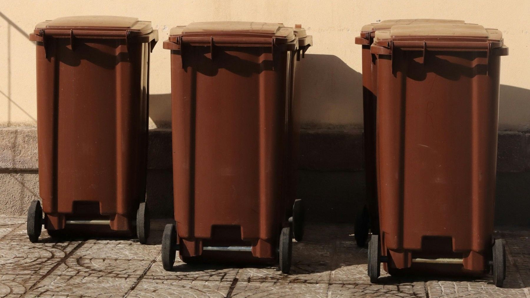 Contenedor marrón para la recogida de residuos orgánicos en Ciudad Real