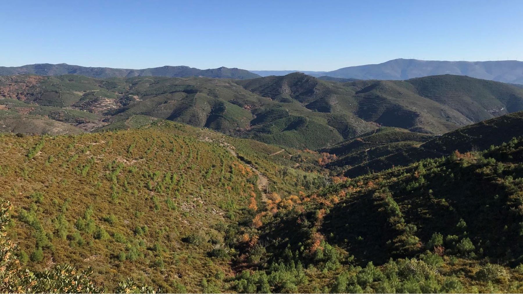 Territorio de Covas do Barroso afectado por la mina de litio de Barroso