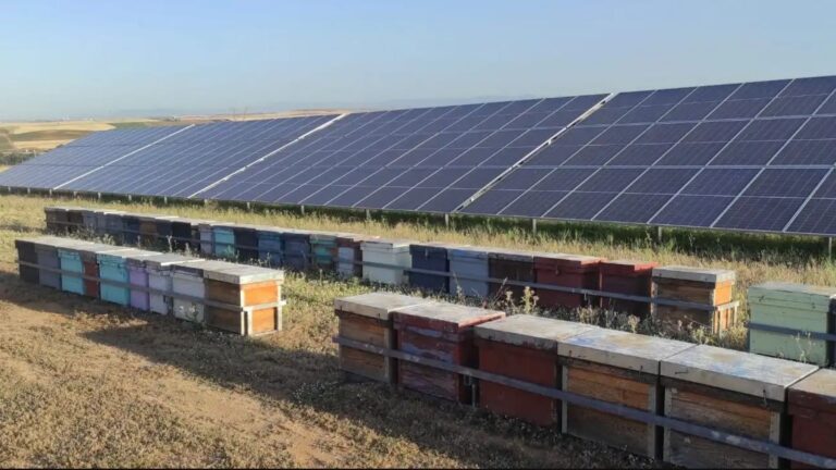 Planta fotovoltaica de Barcience con integración ambiental