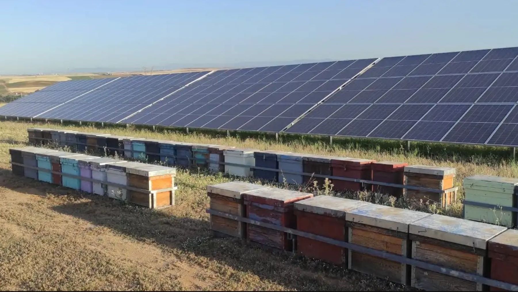 Planta fotovoltaica de Barcience con integración ambiental