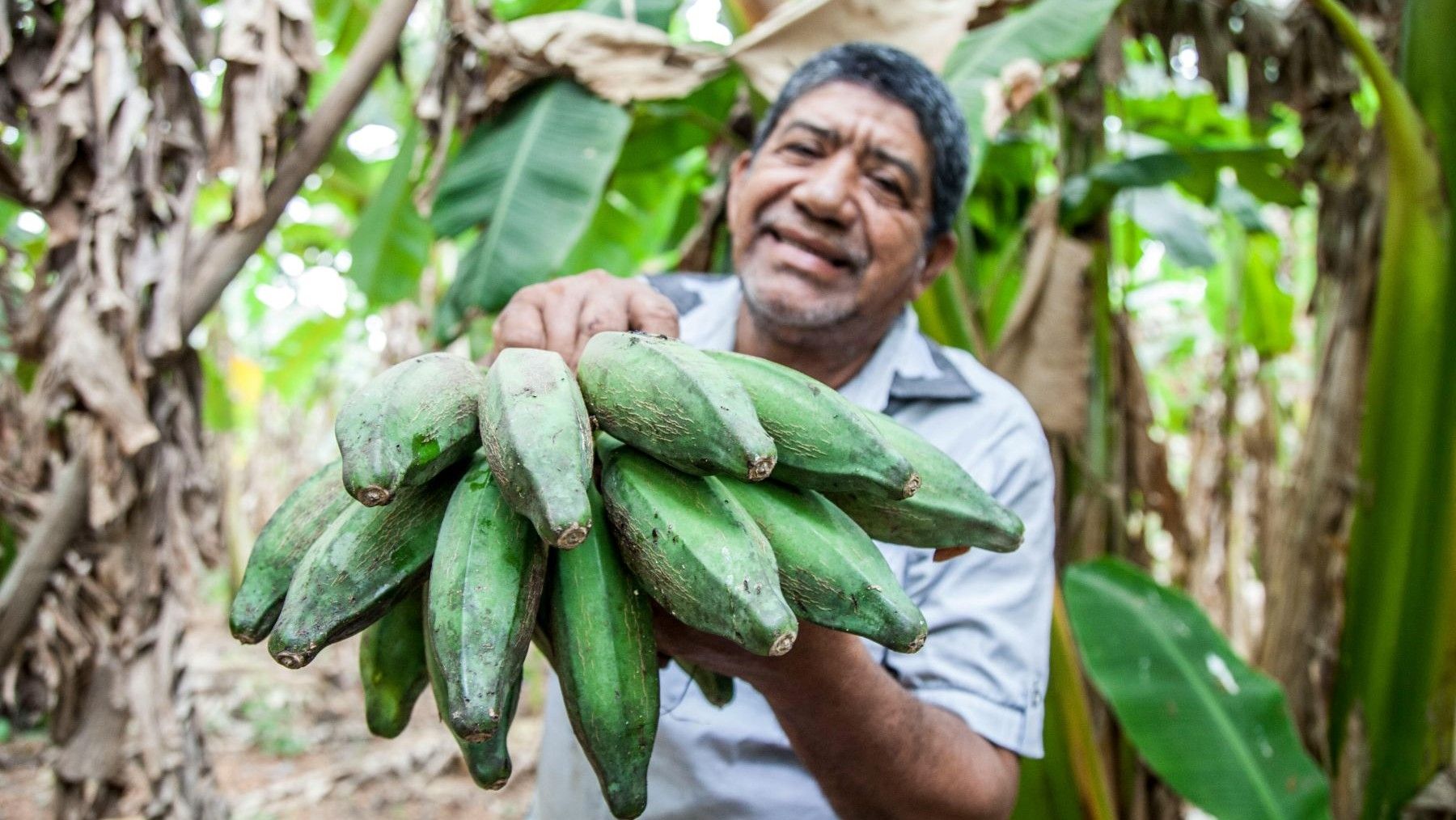 Producción ecológica en España y Mercosur en contexto de libre comercio