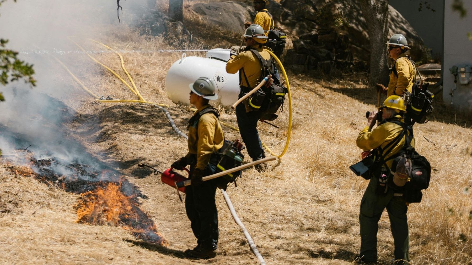 Quemas prescritas en bosques para prevenir incendios