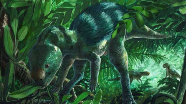 Dinosaurio más pequeño del mundo descubierto en la Sierra de la Demanda