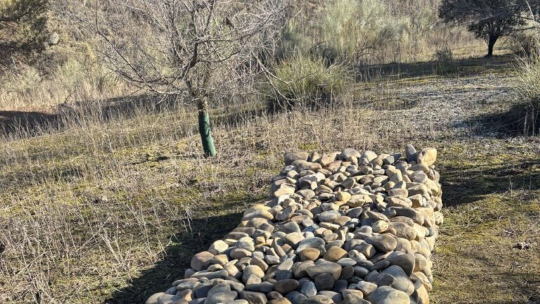 Biodiversidad en Getafe impulsada con refugios para fauna urbana