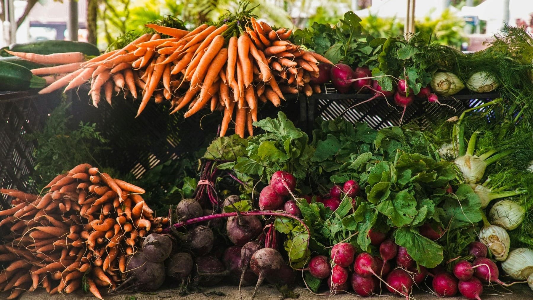 Suiza ostenta el gasto per cápita más alto y lidera el consumo ecológico mundial