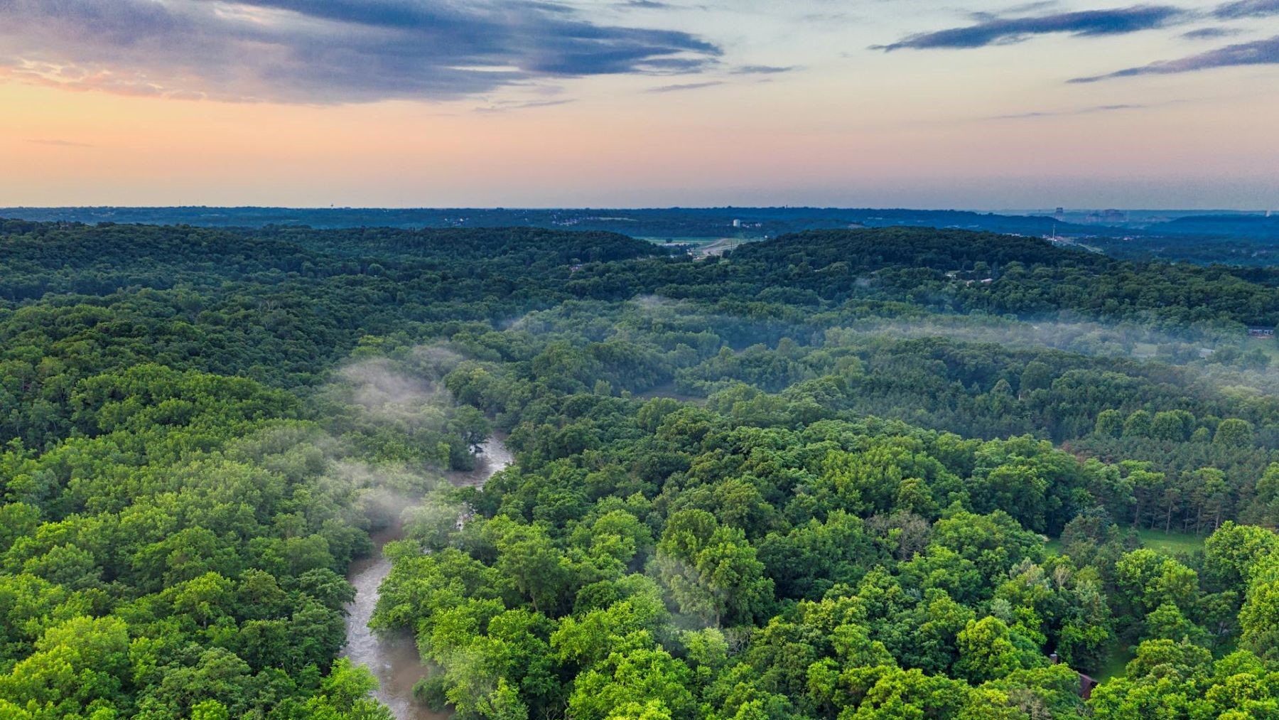Brasil reduce deforestación en la Amazonía 35,4 %