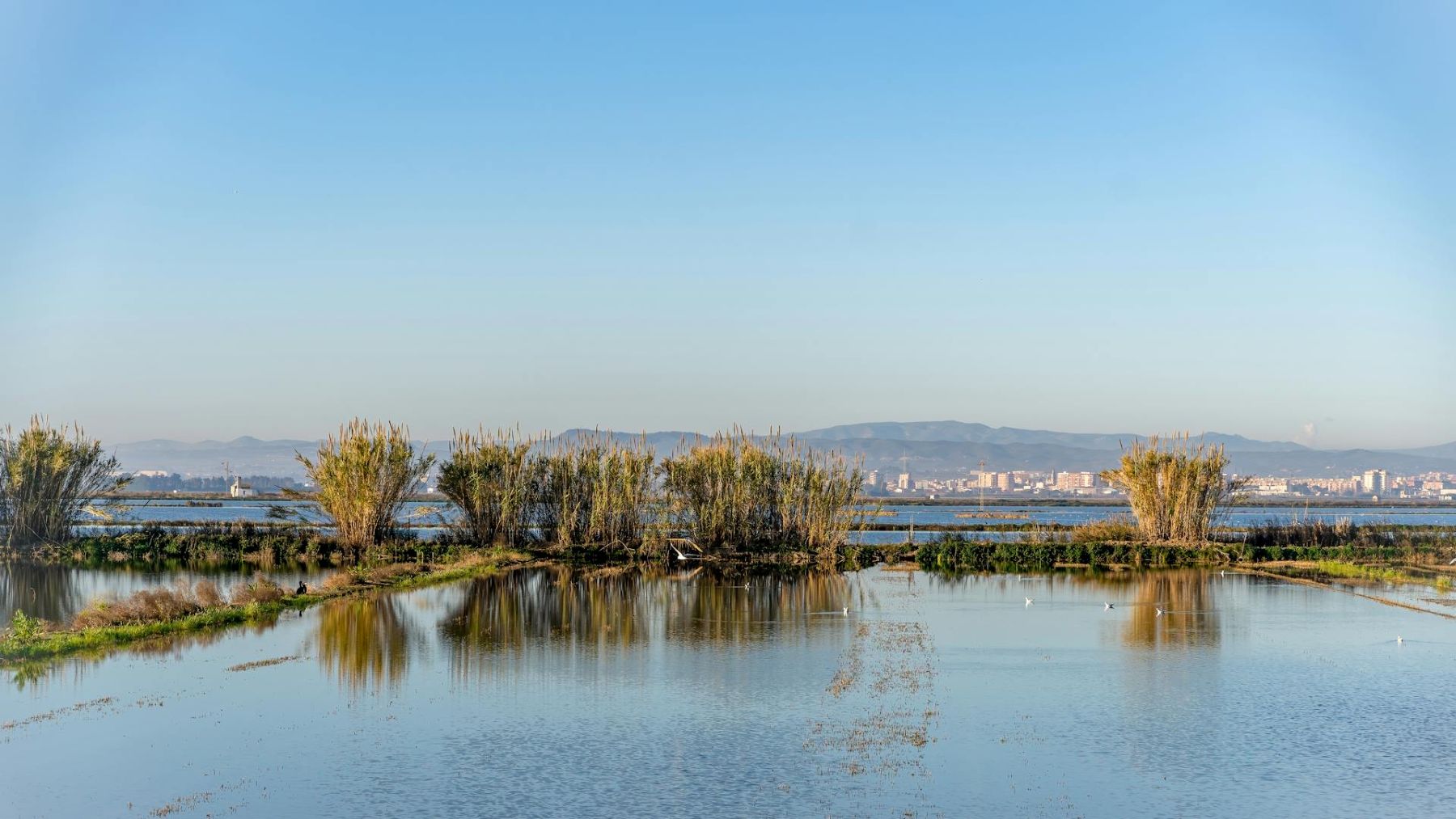 L’Albufera pierde casi diez centímetros de profundidad por acumulación de sedimentos tras la dana