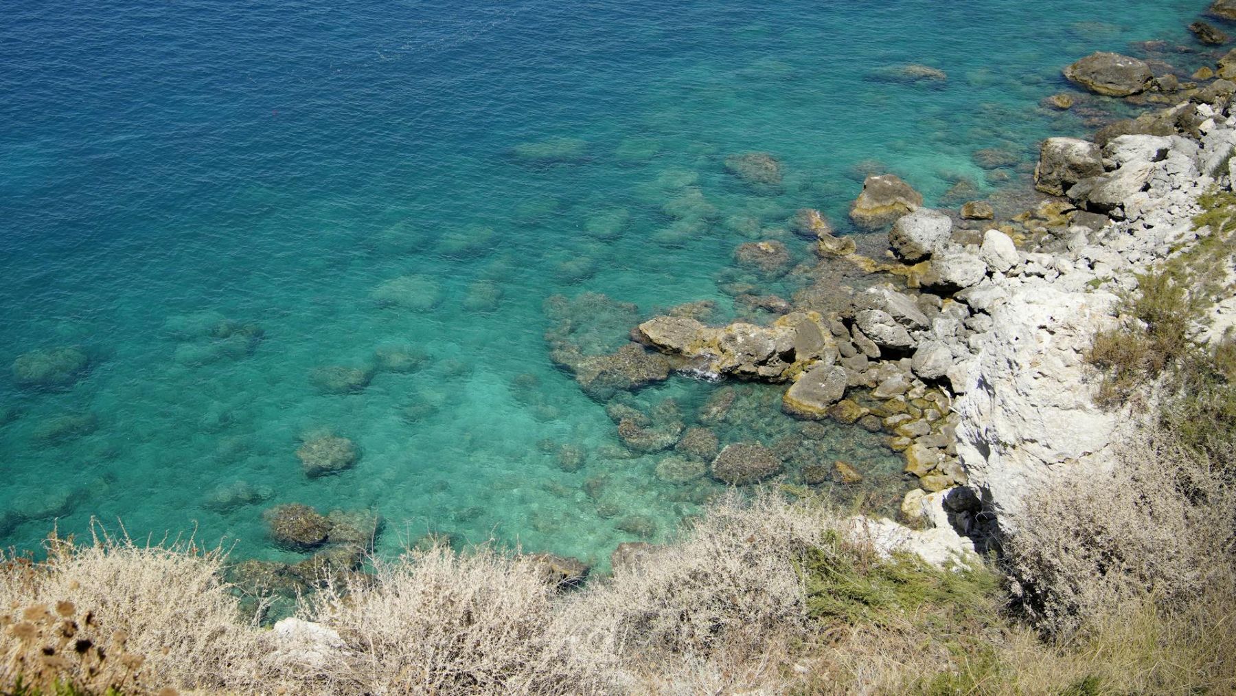 Tropicalización avanza en Mediterráneo occidental con expansión de especies planctónicas de aguas cálidas