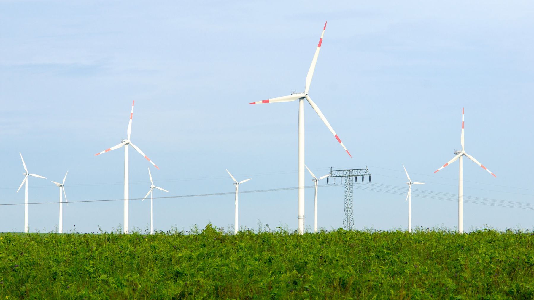 Parque eólico con aerogeneradores dentro del plan energético entre Alemania y Marruecos para exportar energía verde.