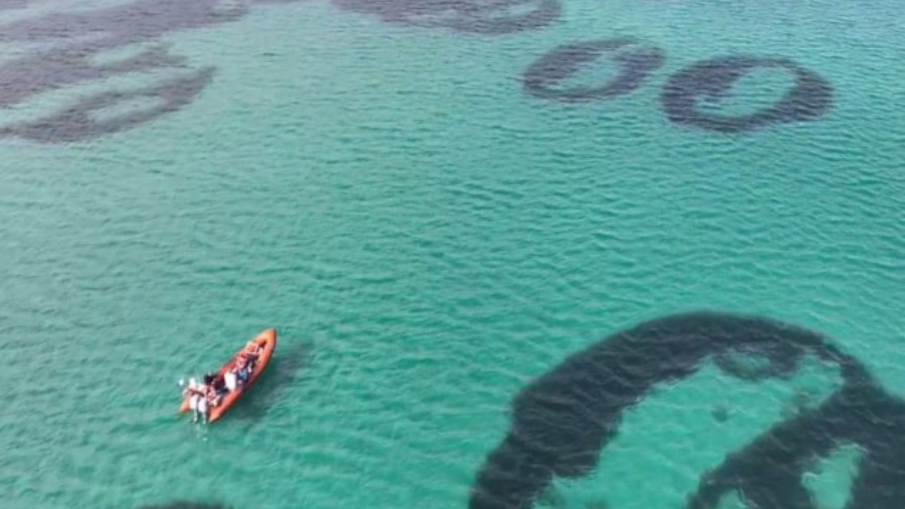 Anillos de pastos marinos Zostera marina en el Sound of Barra, Escocia, vistos desde el aire.