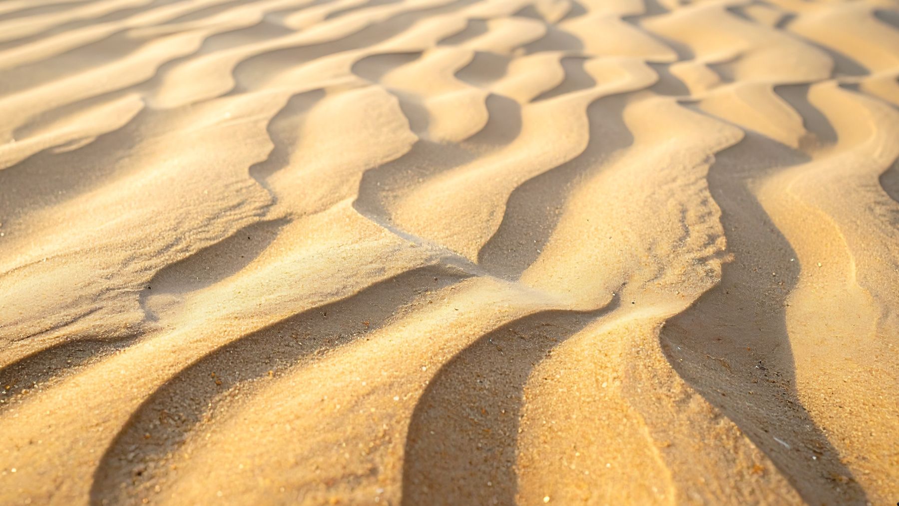 Dunas de arena del desierto utilizadas en investigación para nuevo material de construcción sostenible.