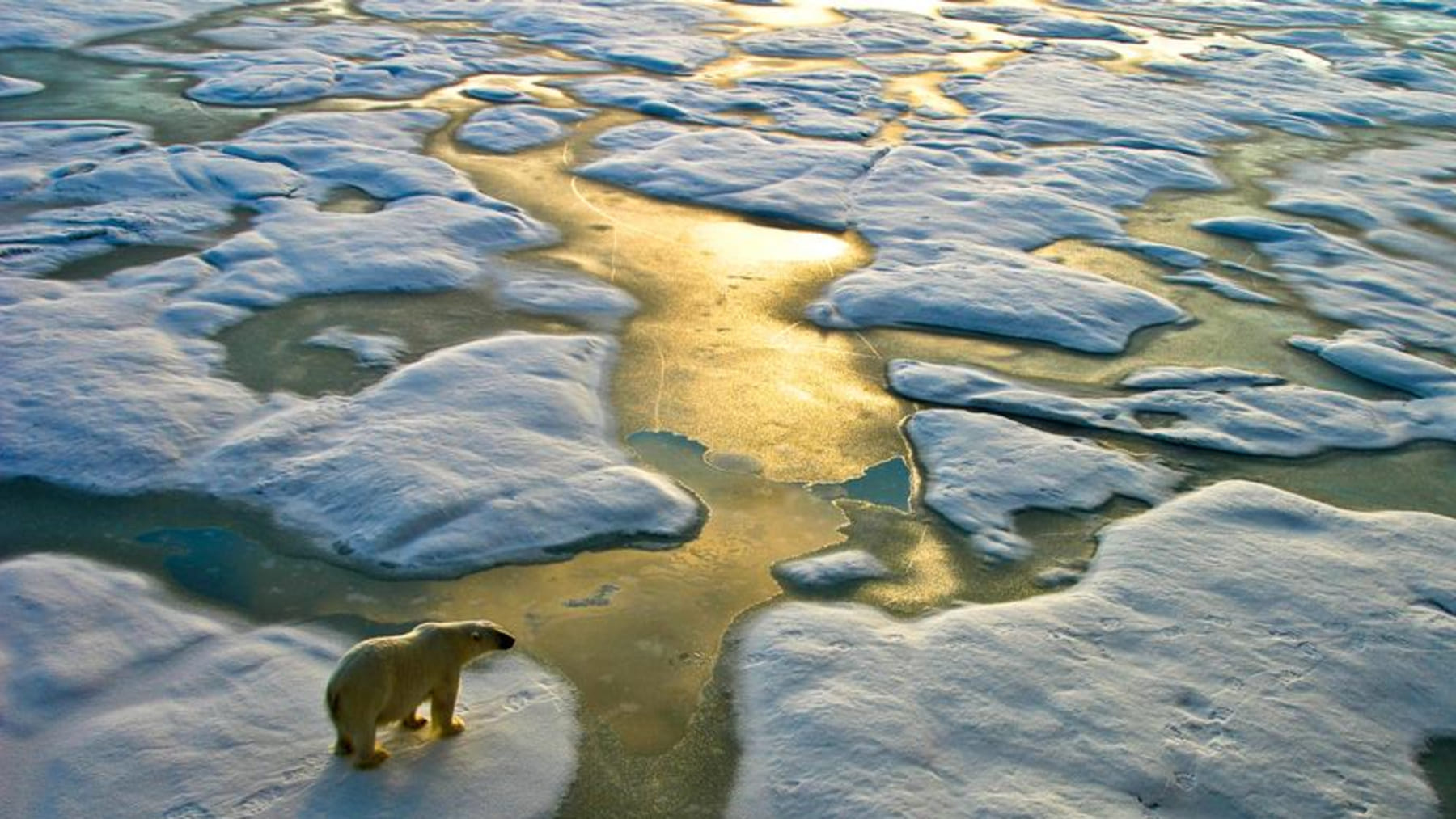 Mesa redonda sobre crisis climática y gobernanza global durante la conferencia Cassandra