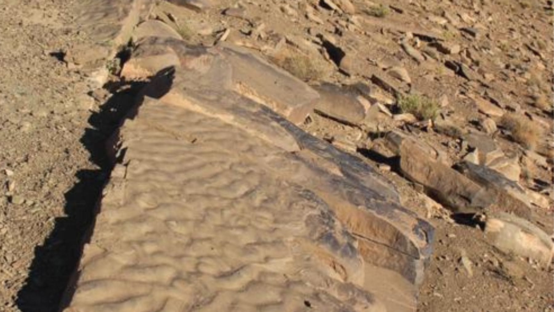 Estructuras microbianas fósiles de 180 millones de años en el valle del Dadès, Marruecos