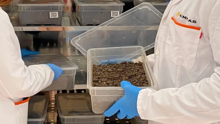 Etiqueta compostable adherida a una pieza de fruta fresca