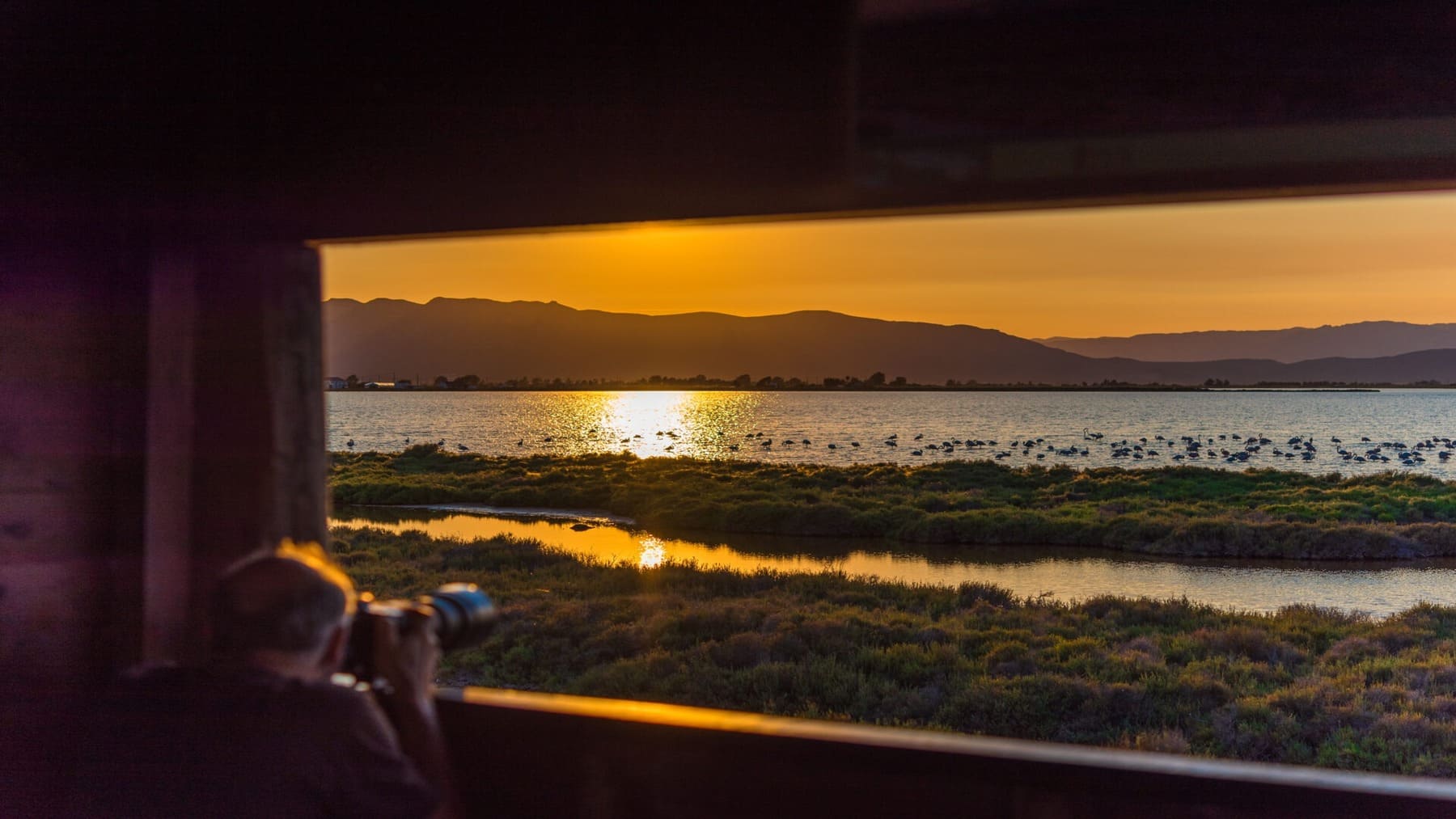 Humedales del Ebro restaurados para reducir inundaciones y erosión