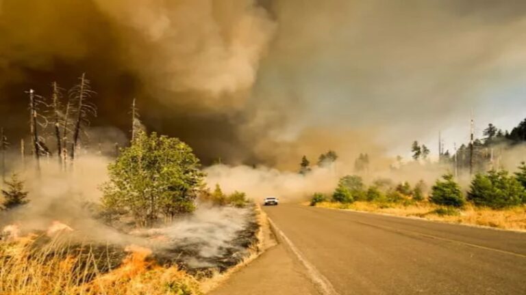 Bomberos actuando ante incendios forestales en la UE en un contexto de mayor riesgo climático
