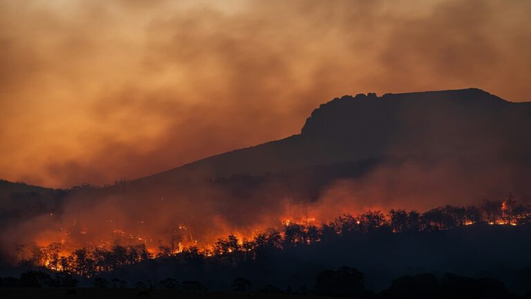 Ola de incendios forestales en Cantabria y Asturias en febrero