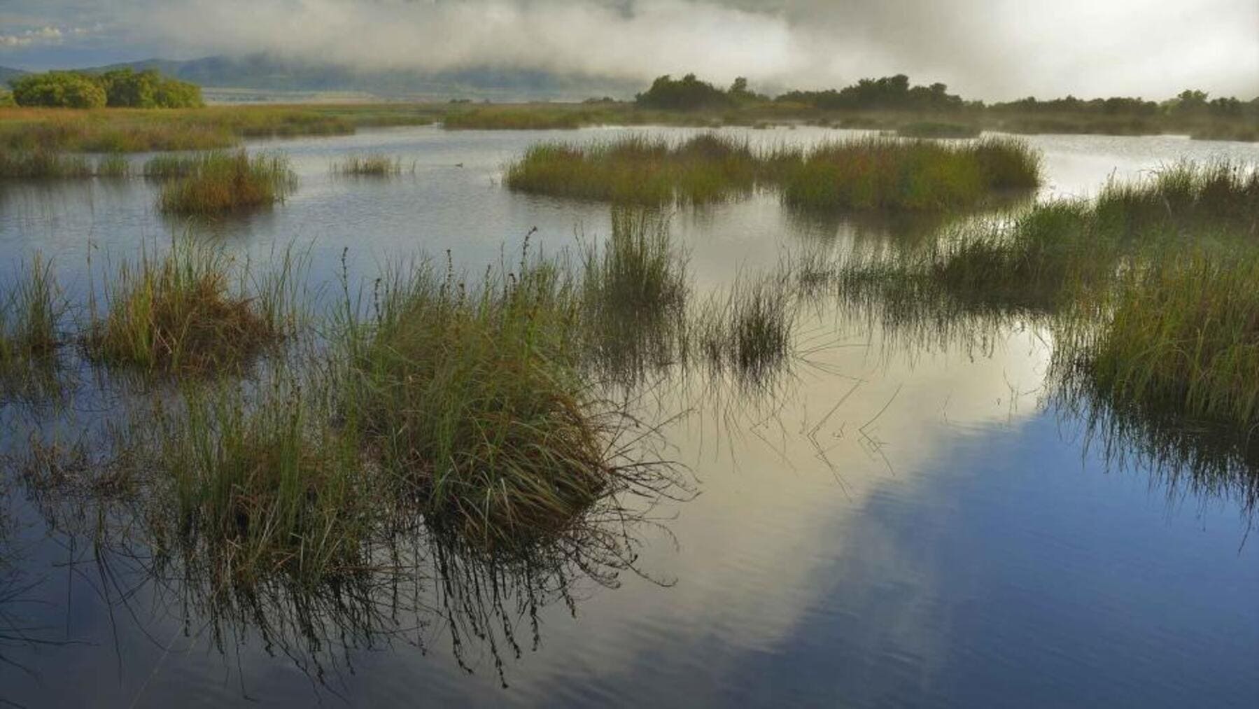 Agua del río Gigüela entrando en Las Tablas de Daimiel