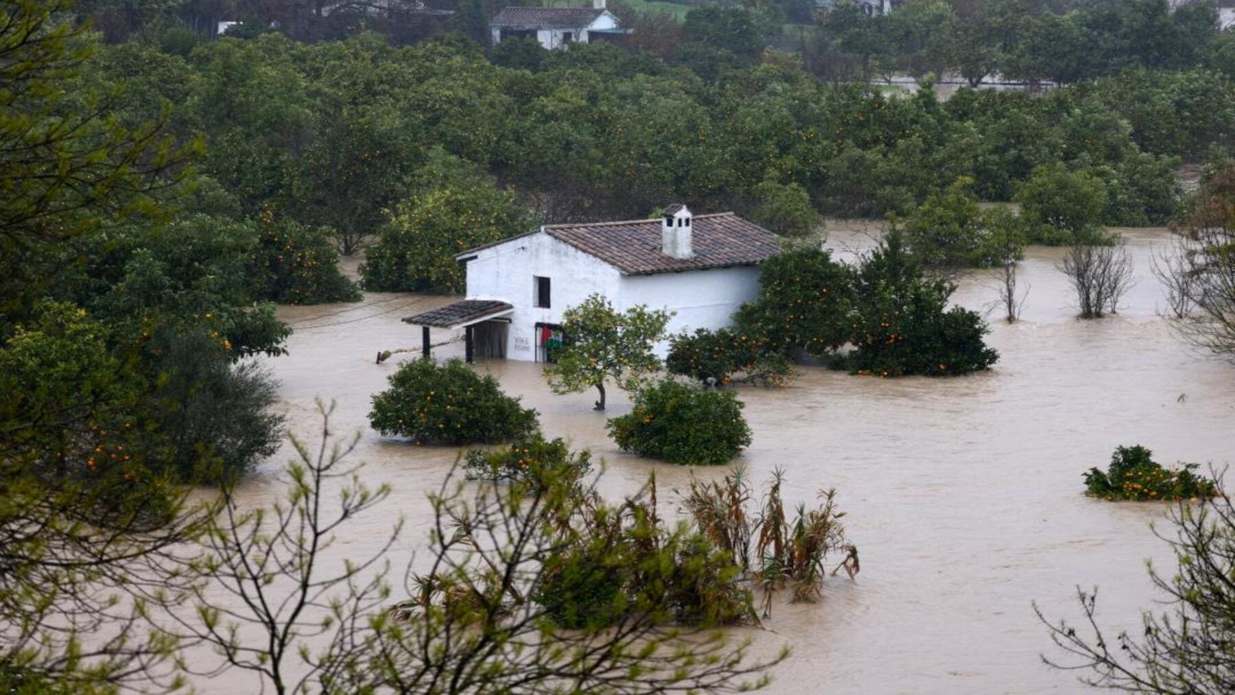 Desbordamiento fluvial en zona urbana andaluza