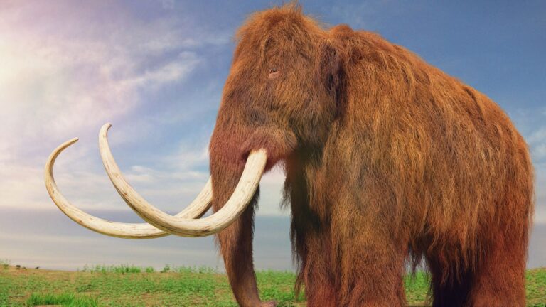Mamut lanudo caminando en paisaje prehistórico según estudio que revela su velocidad real.