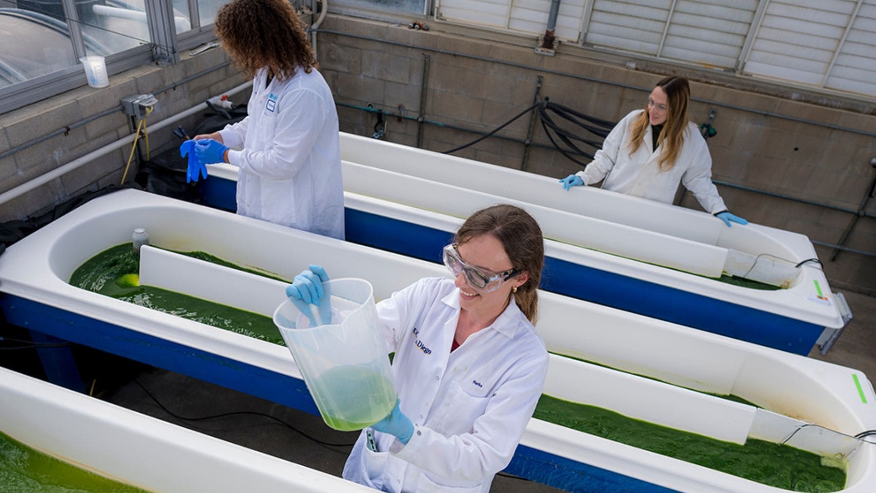 Científicos analizan algas en estanques experimentales para estudiar el impacto de los microplásticos.