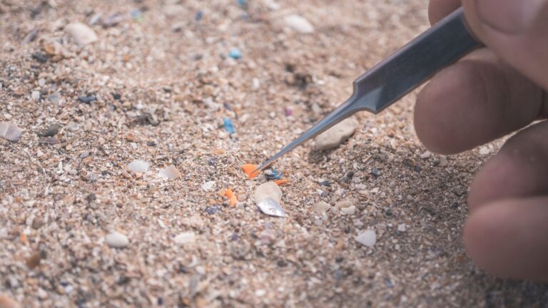 Microplásticos en la arena recogidos con pinzas durante un análisis científico.