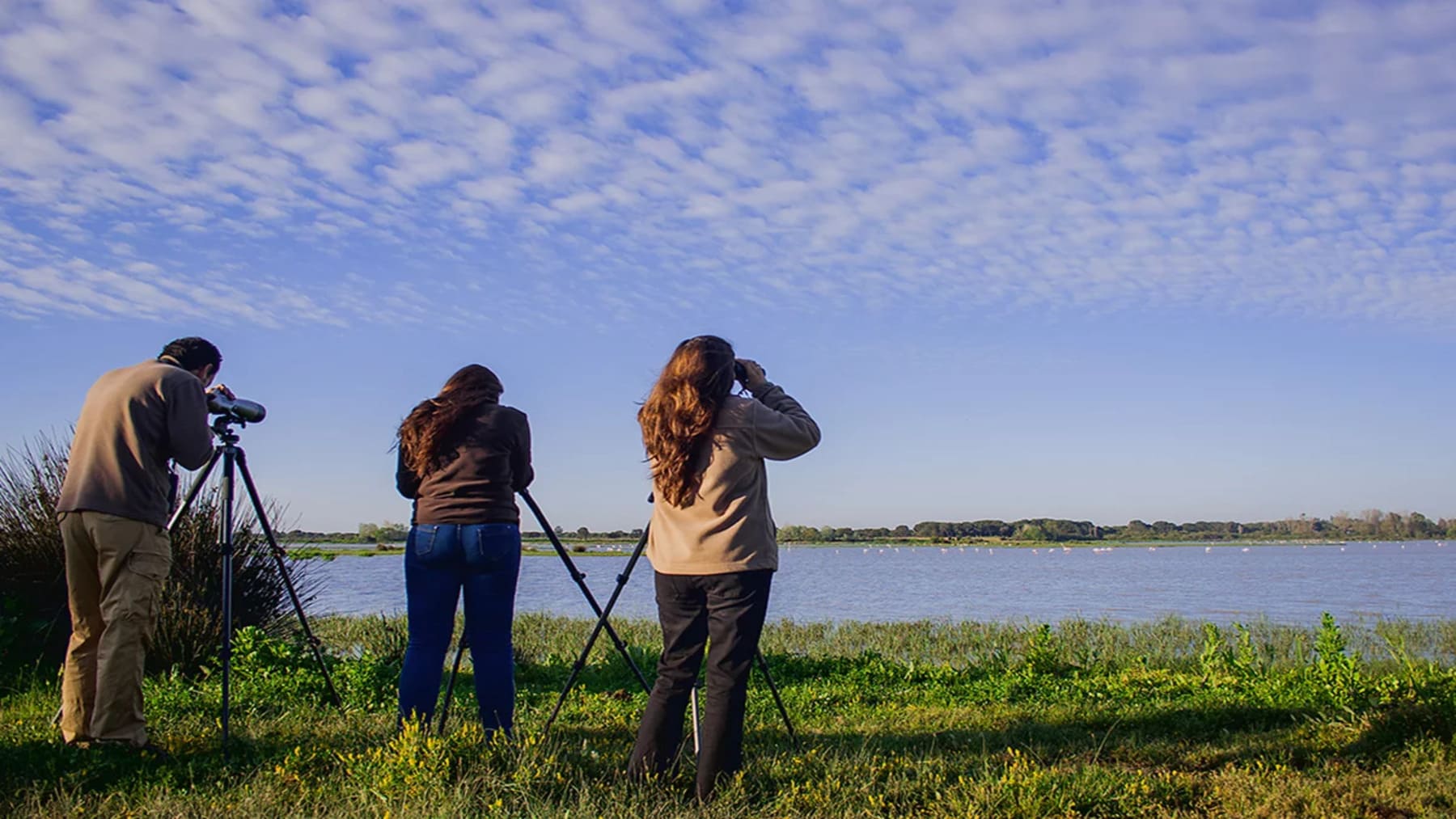 Granada acoge congresos Ibérico y Español de Ornitología con expertos en avifauna