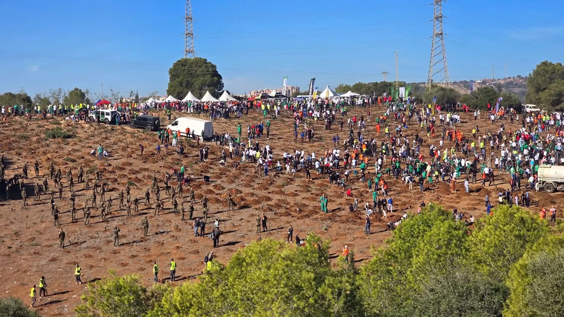 Argelia planta cinco millones de árboles en un día durante campaña nacional