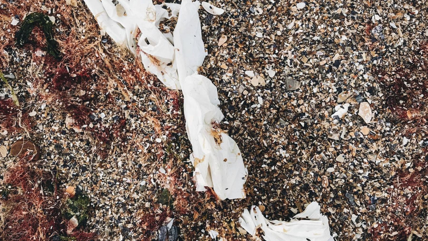 Bolsas de plástico abandonadas en la arena de una playa tras la marea, ejemplo de contaminación en costas.
