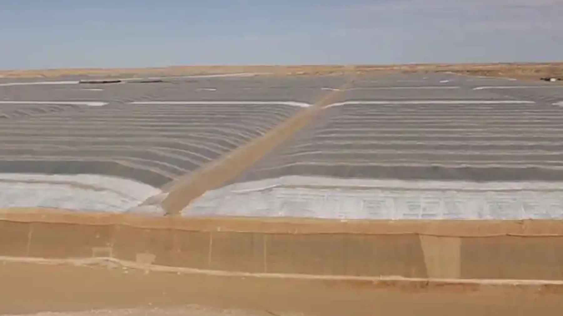 Invernaderos de cultivo intensivo en el desierto de Dakhla, Sáhara Occidental, para exportar hortalizas a la Unión Europea