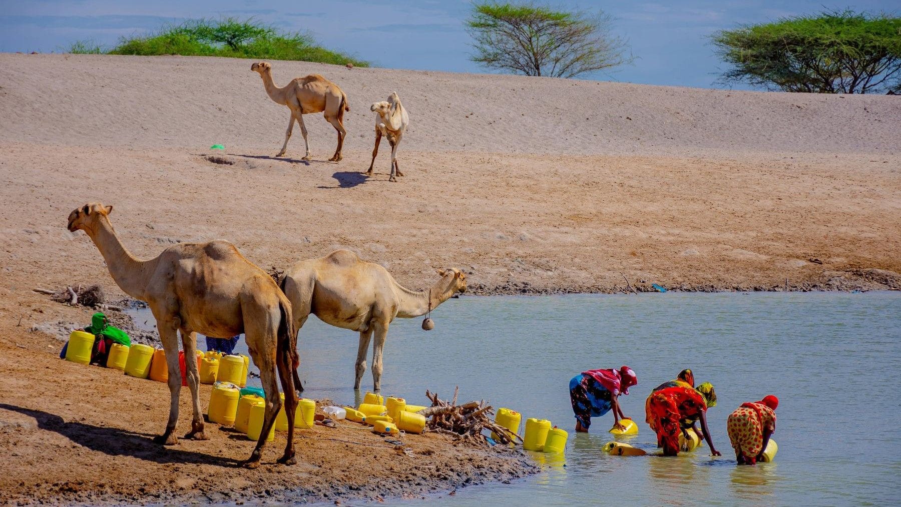 Día Mundial del Agua 2026 y acceso al agua potable