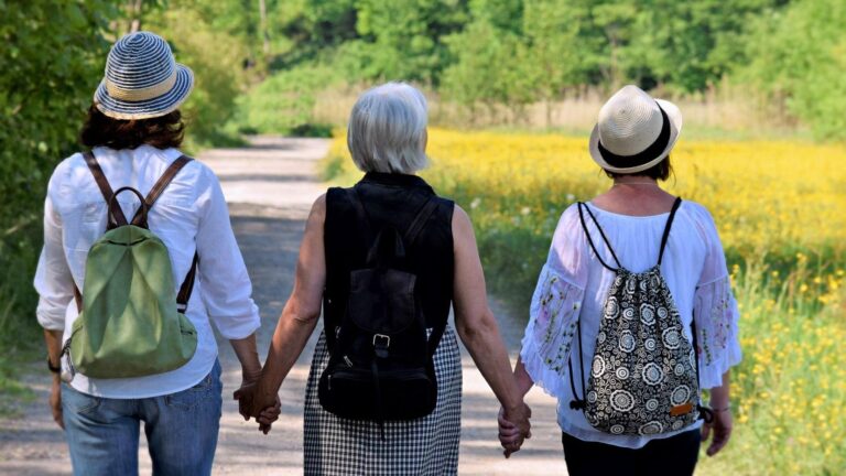 Alimentos recomendados en la alimentación saludable en la menopausia según la AESAN