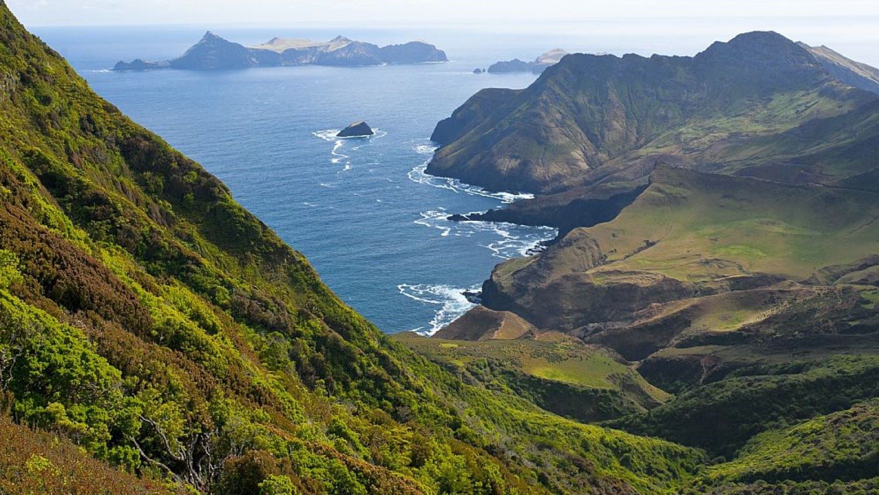 Chile aprueba el plan de gestión de los parques marinos de Juan Fernández que protege el 16% de su zona económica exclusiva