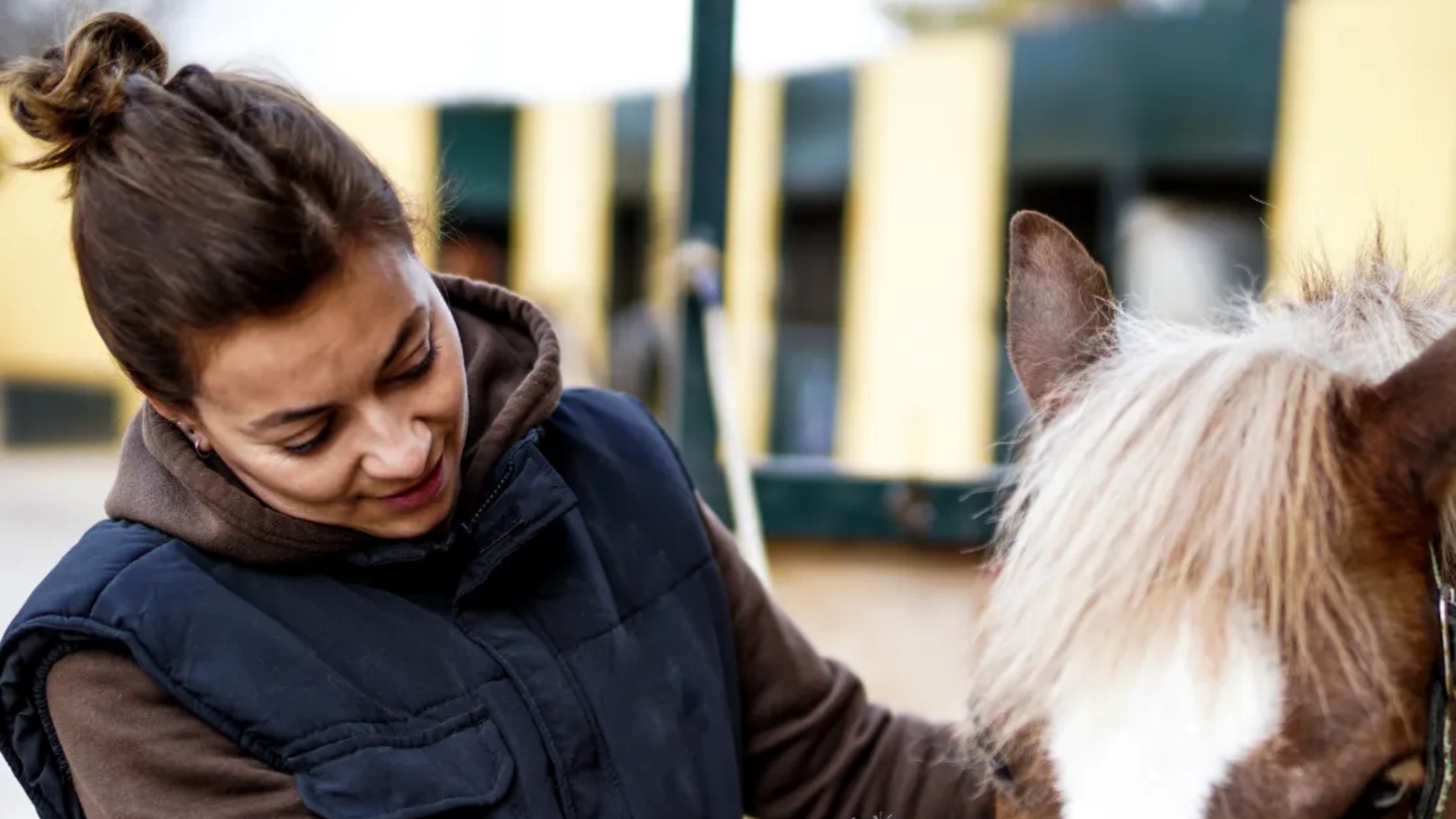 Curso auxiliar de clínica veterinaria en práctica hospitalaria