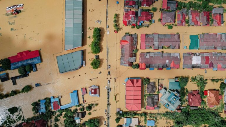117 millones desplazados por el clima y podrían superar 200 millones en el mundo