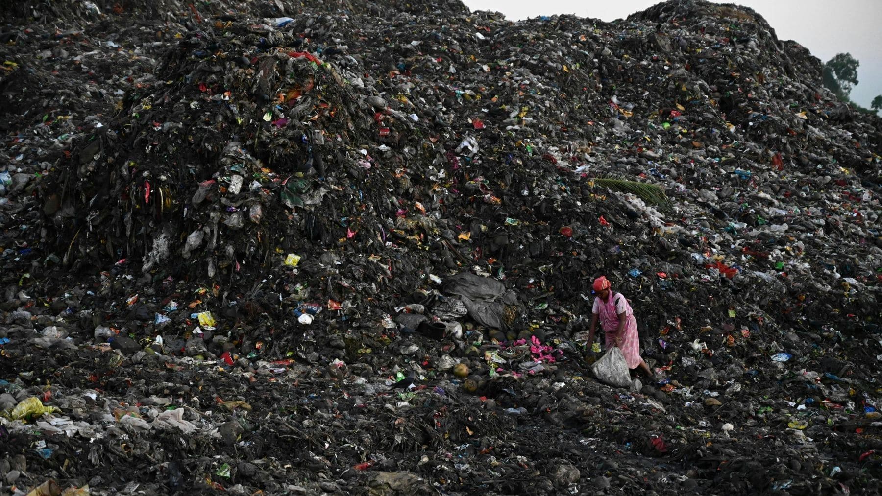 Día Internacional de Cero Desechos 2026 alerta residuos desbordan planeta en vertedero