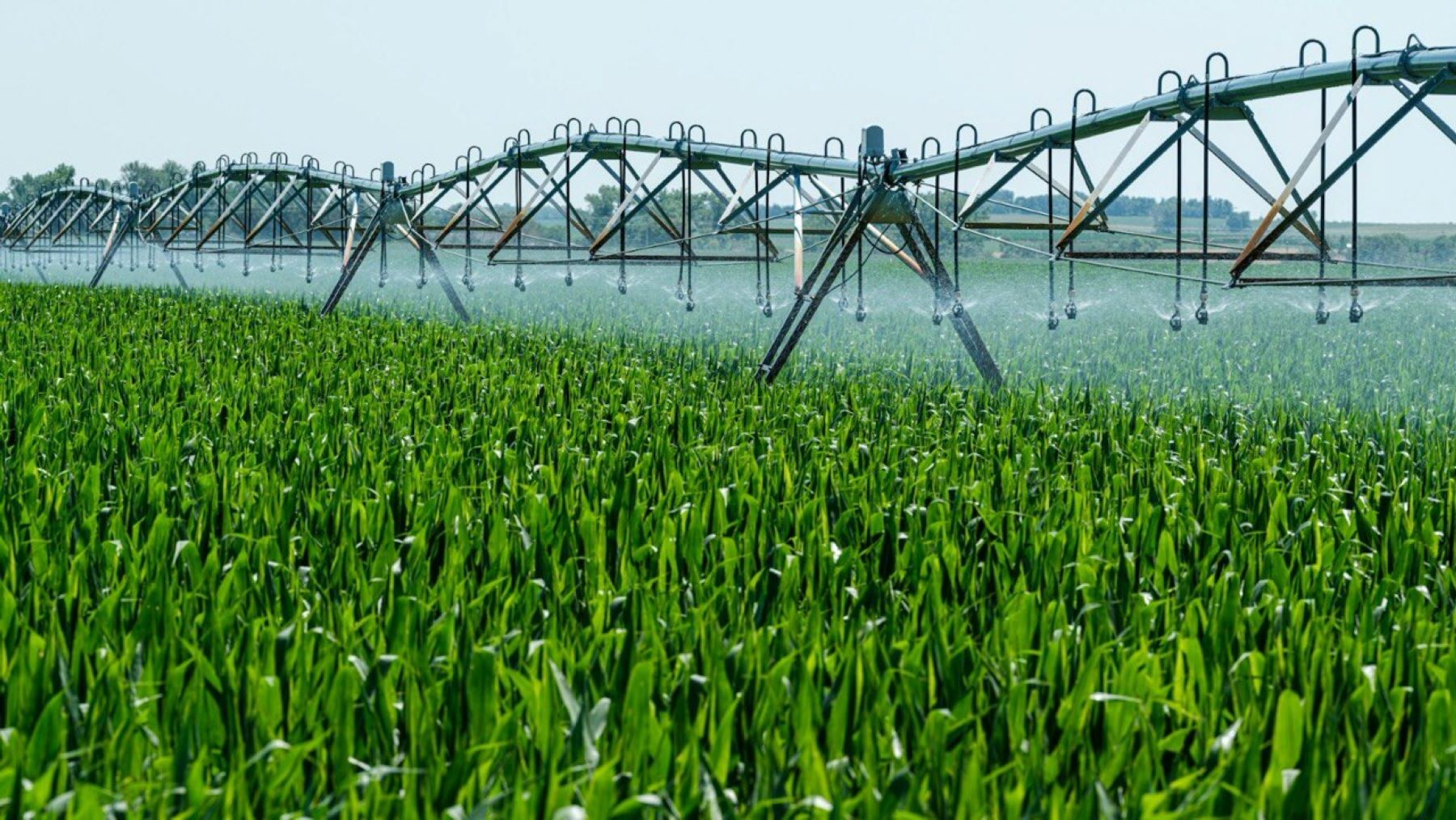 Digitalización del regadío impulsa 375 proyectos con 170 millones en España