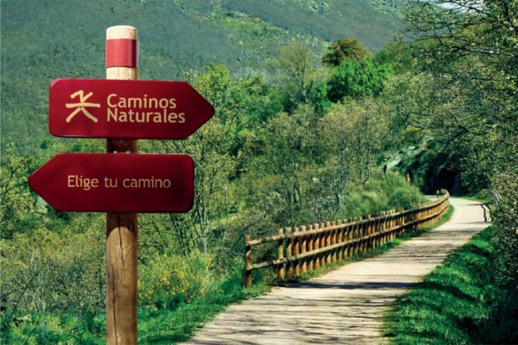 Ecologistas denuncian abandono de vías pecuarias y caminos públicos en entorno natural