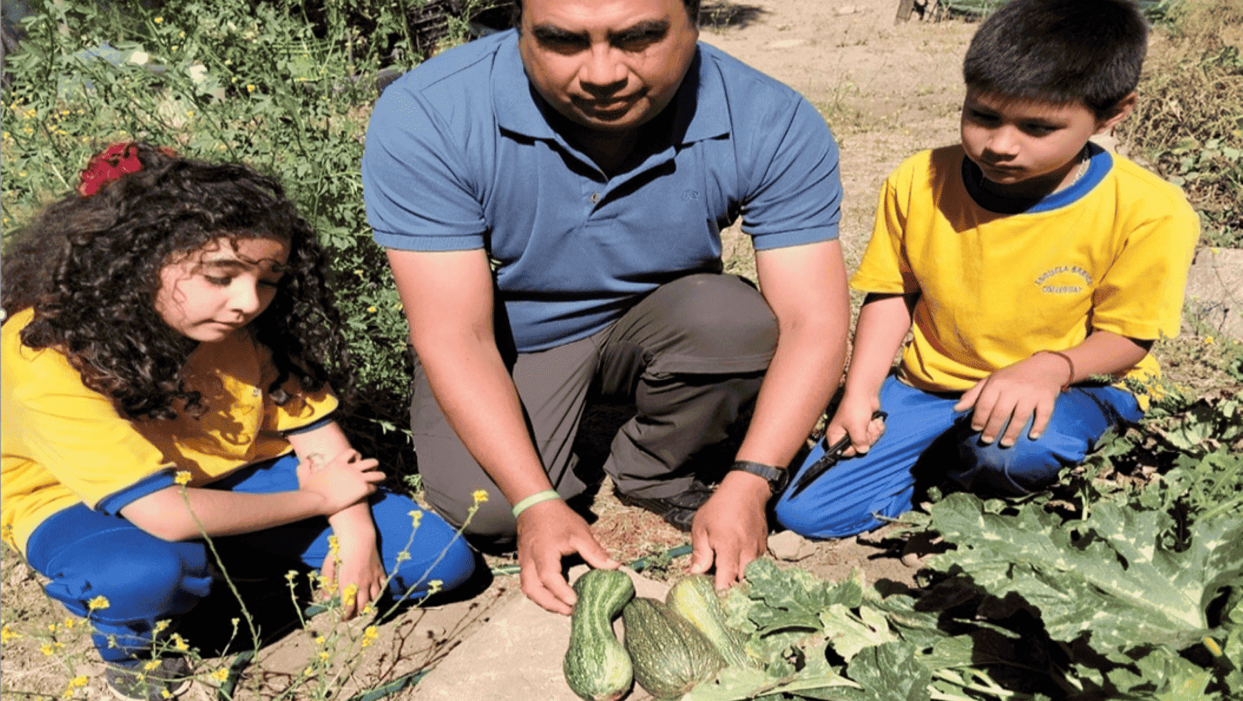 Niños trabajando en huerta escolar en escuela multigrado
