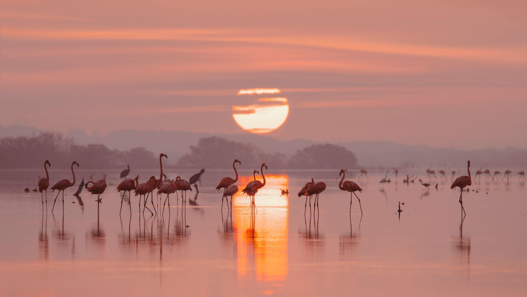 Uso ilícito de agua en finca de la Casa de Alba en Doñana investigado por la Guardia Civil