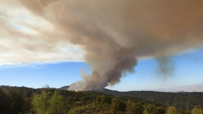 El cambio climático podría duplicar las perturbaciones forestales en Europa antes de 2100 según estudio en Science