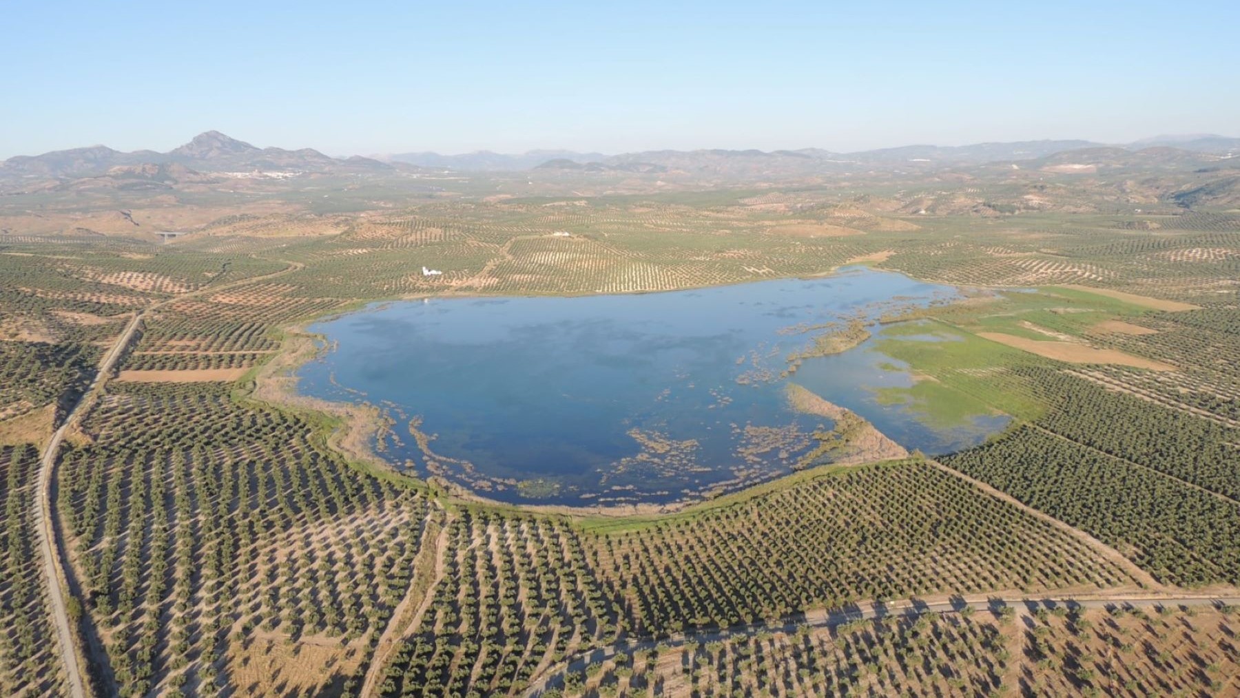 Laguna del Conde en Córdoba amplía restauración ambiental con nuevas hectáreas
