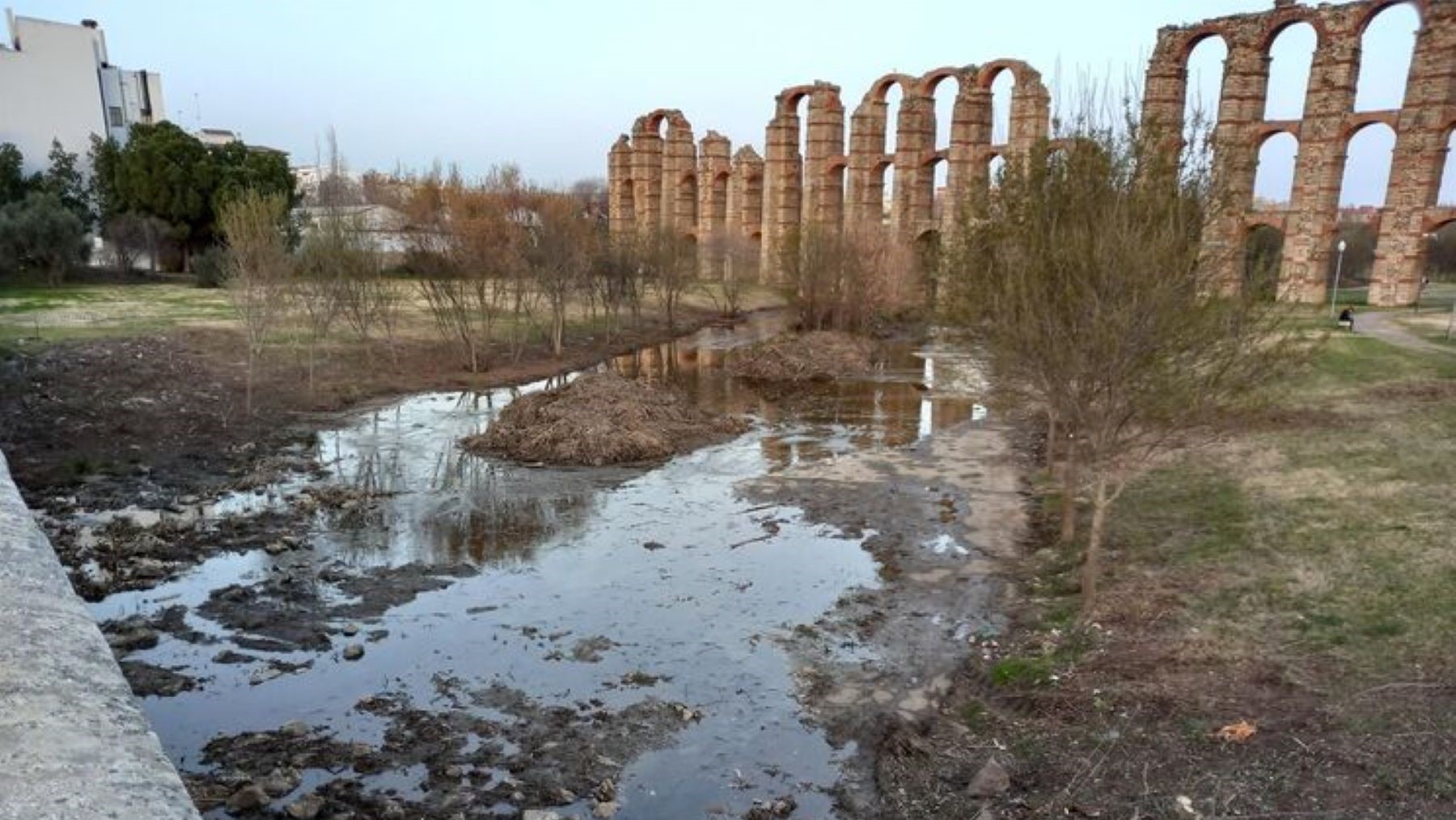 Renaturalización río Albarregas en Mérida