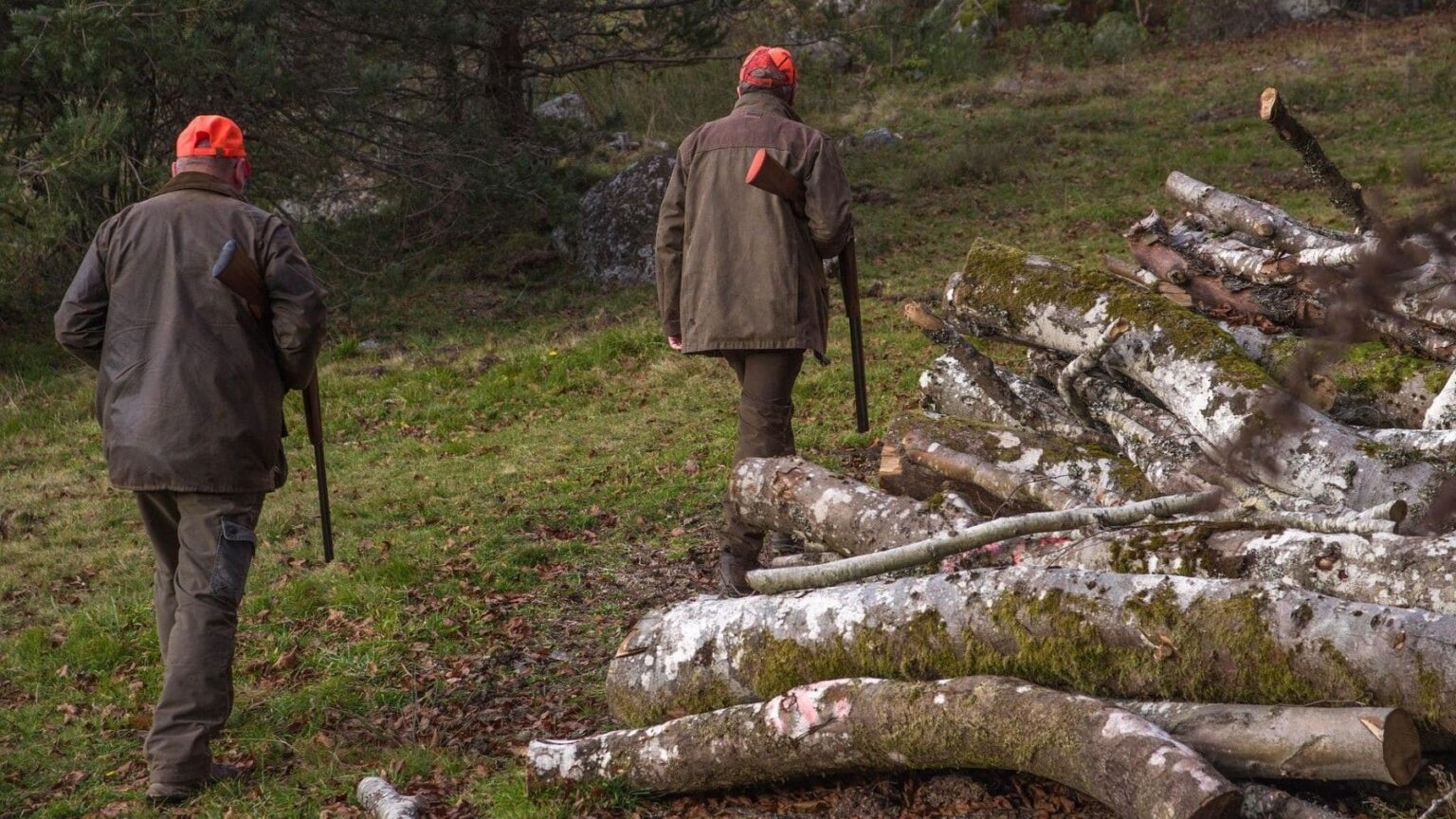 La caza permitida en los montes quemados de León genera rechazo en zona afectada