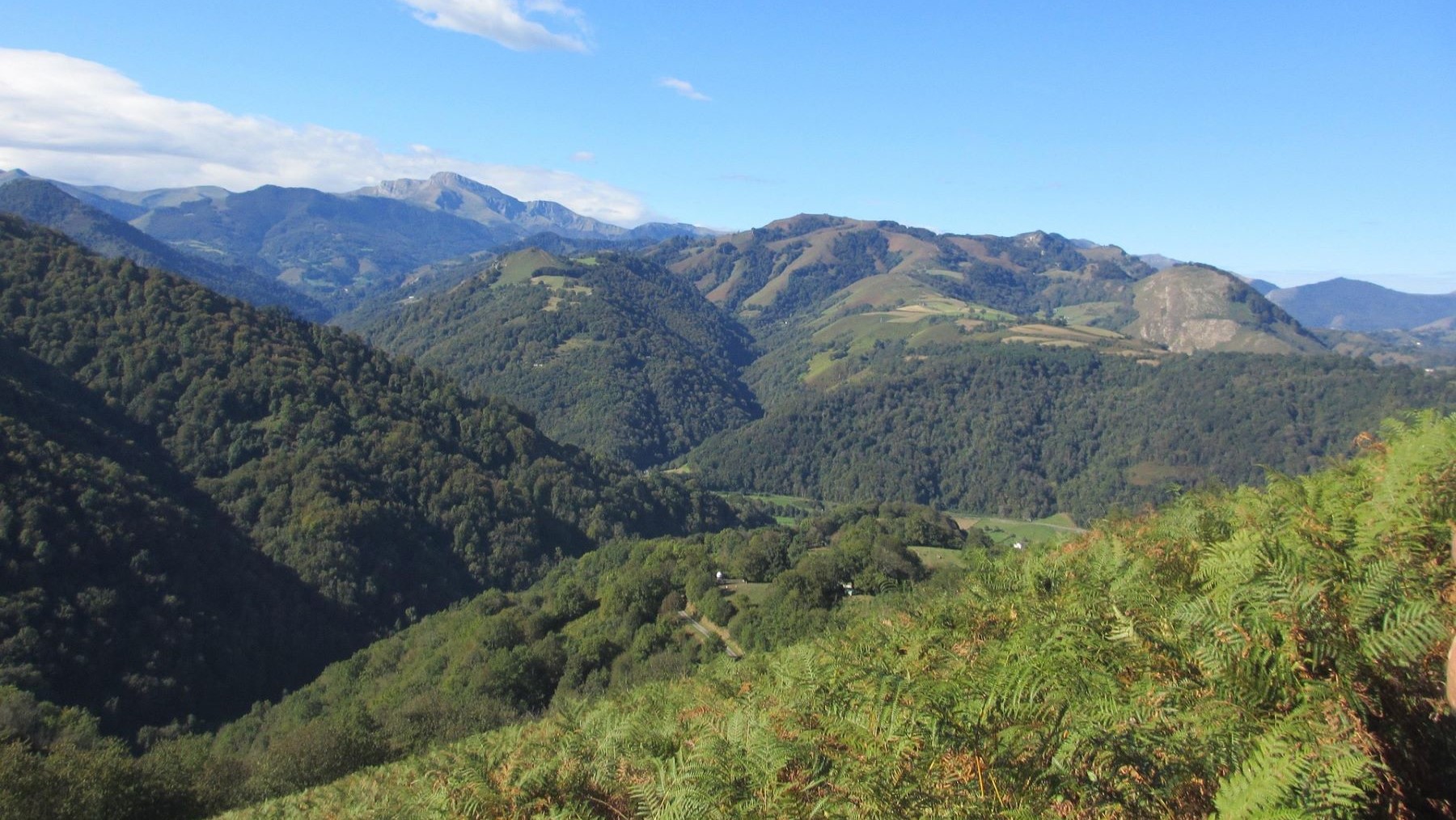 Gobierno vasco rechaza parque eólico Kastillo por impacto ambiental