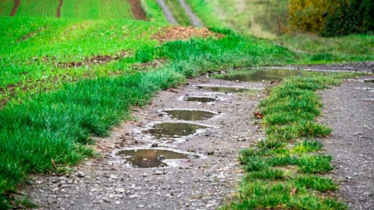 Galicia impulsa una ley pionera para restaurar ecosistemas degradados