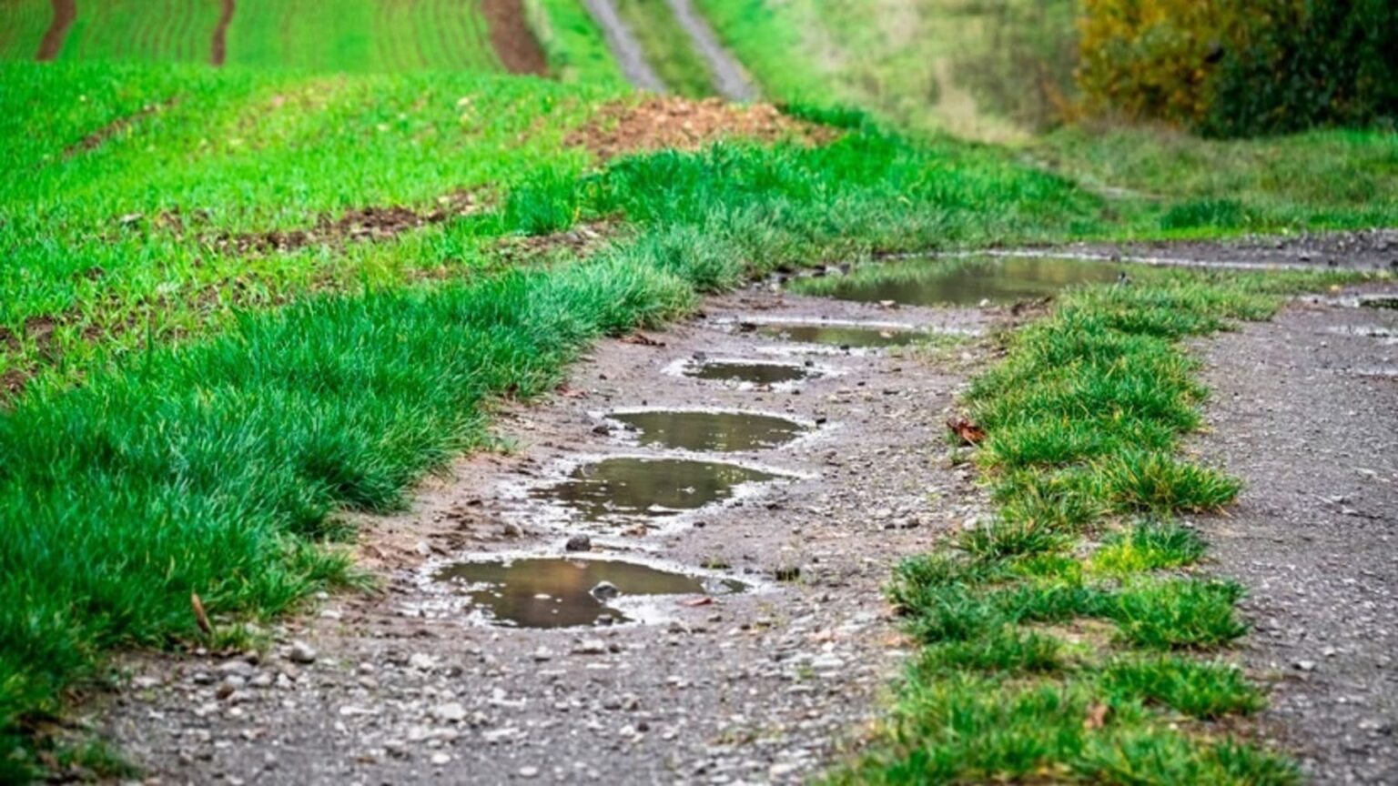 Galicia impulsa una ley pionera para restaurar ecosistemas degradados